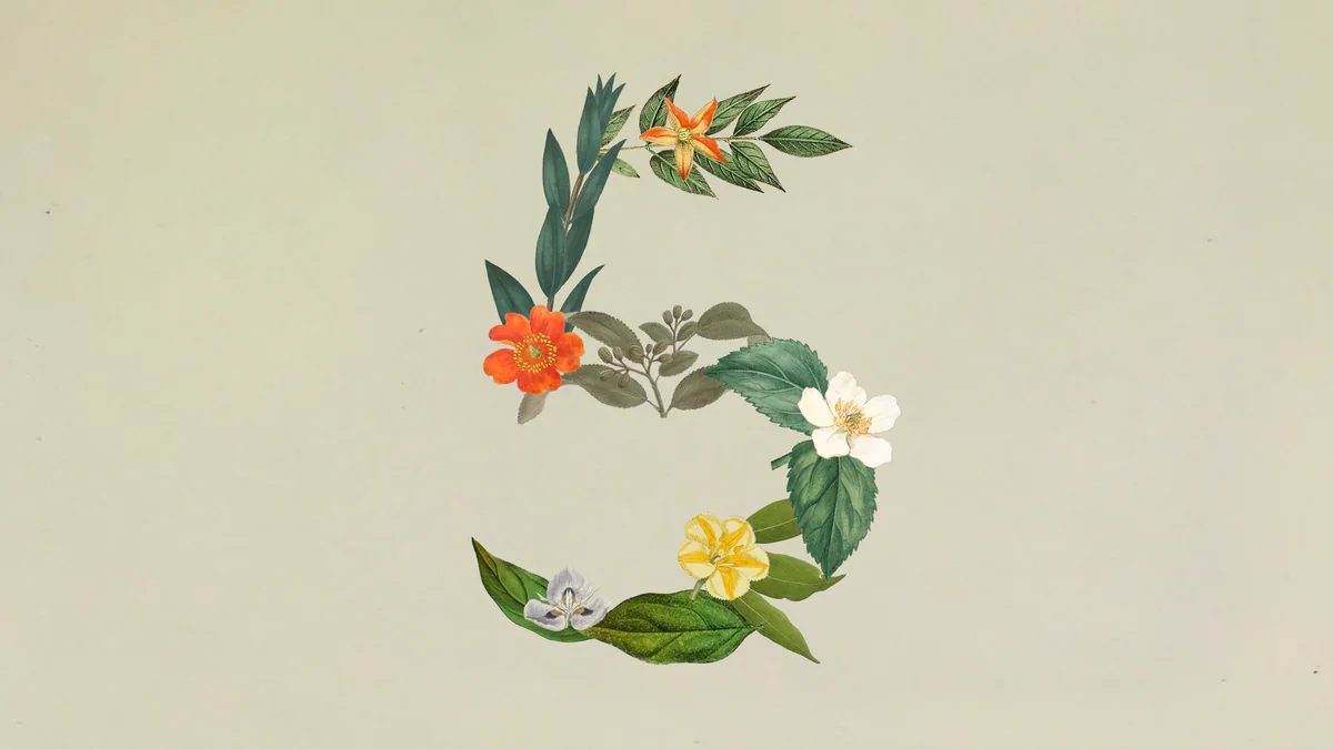 Claude Sonnet 5 正式發表:代理能力逼近 Opus 4.8 但價格只要六成