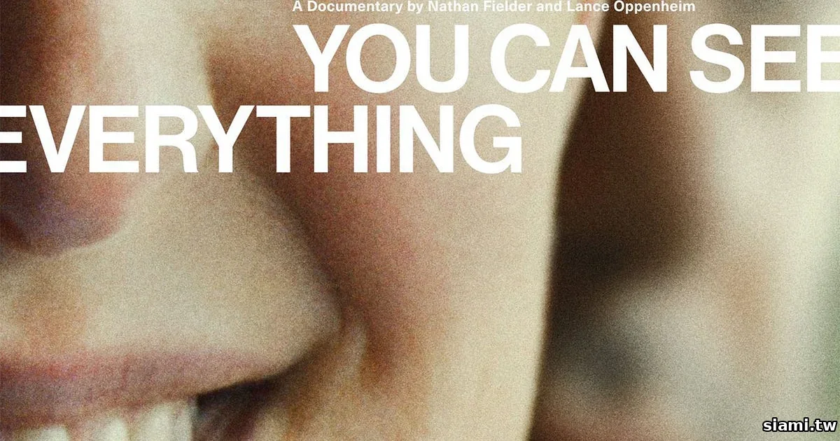 你以為在看 Holmes 的紀錄片　其實是被《You Can See Everything》反向操控